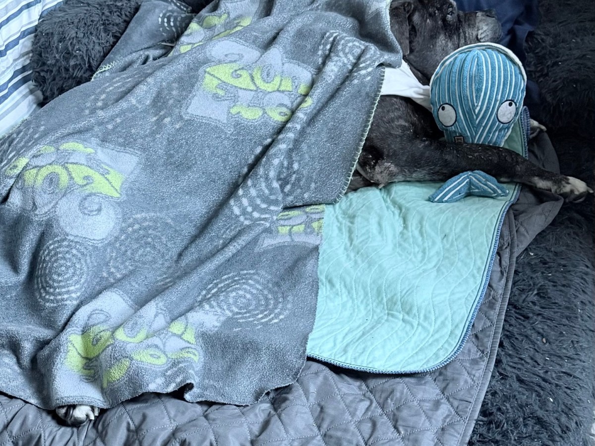 The First Sign of&nbsp;Goodbye