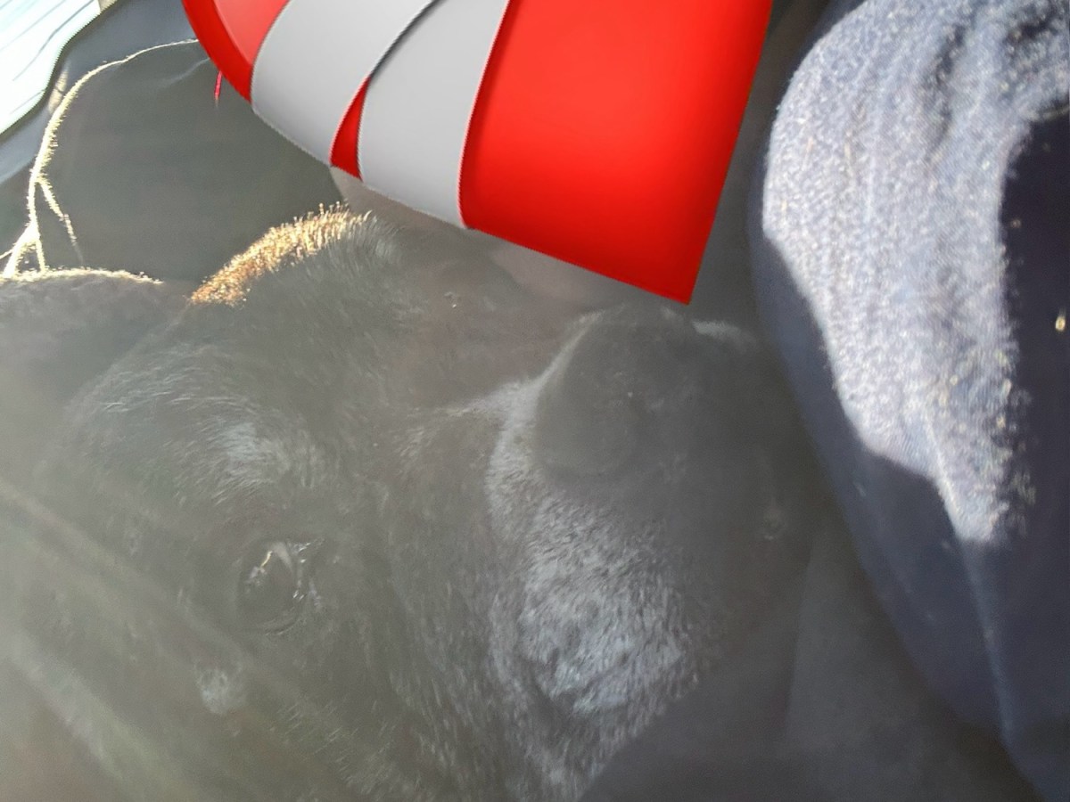 The Hardest Part of&nbsp;Love