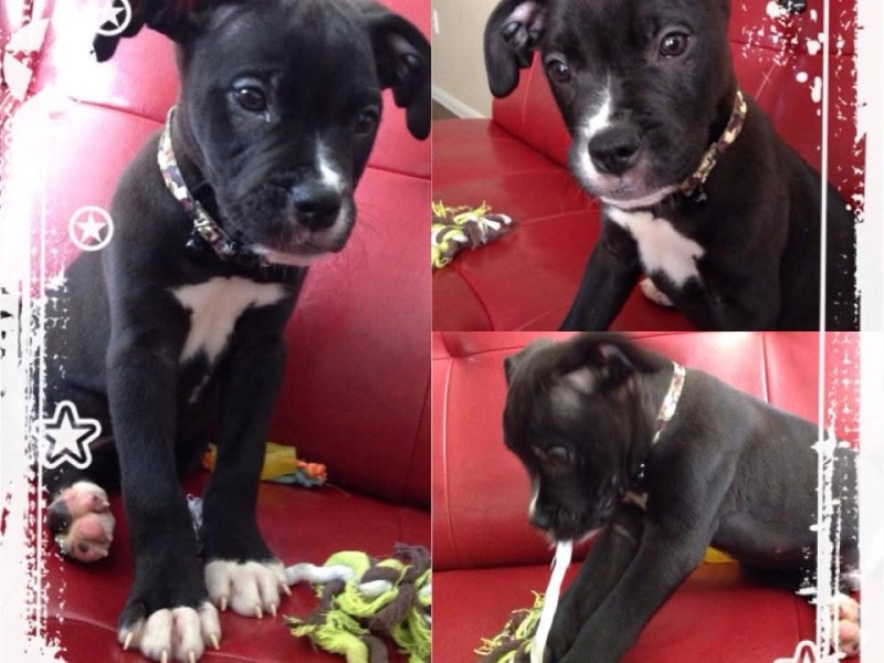 From One Friday to&nbsp;Another