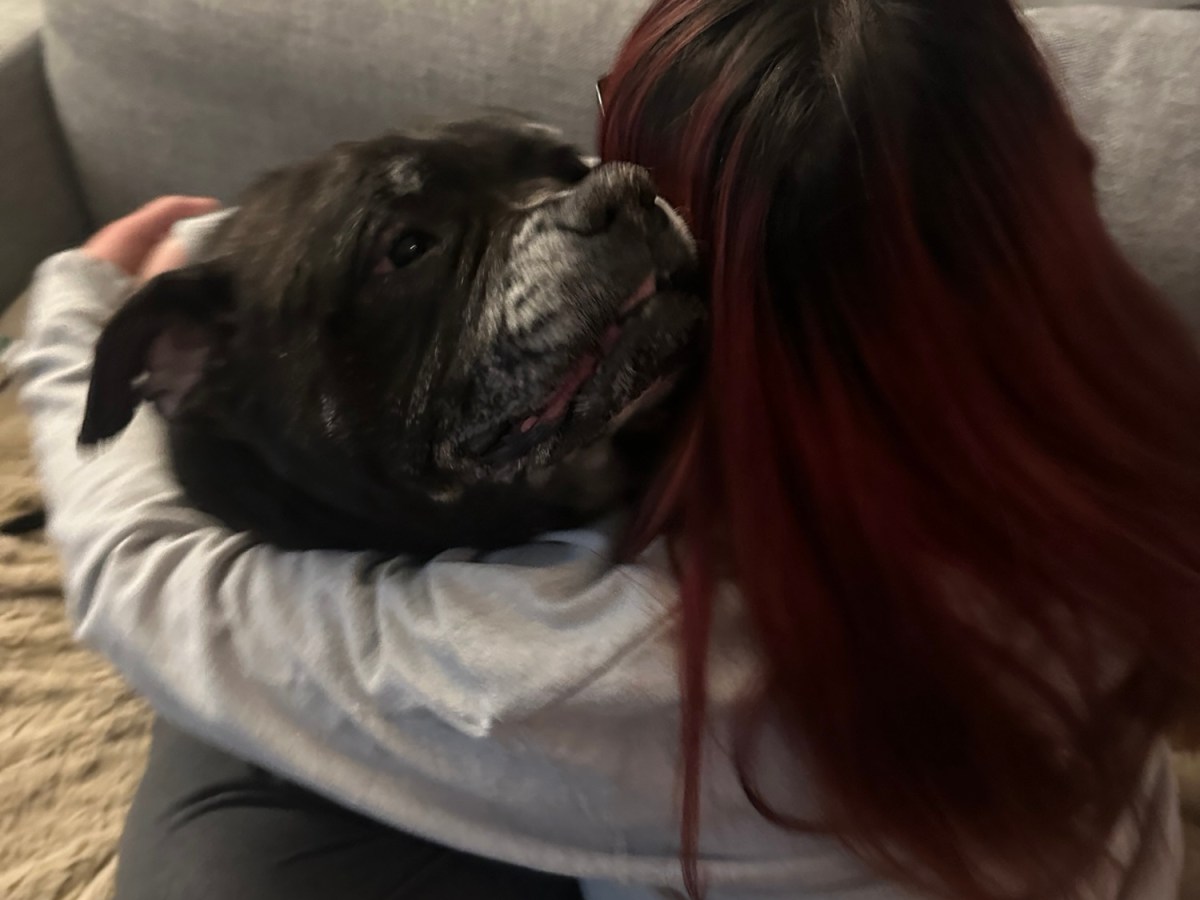 I’ll Meet You at the Rainbow&nbsp;Bridge